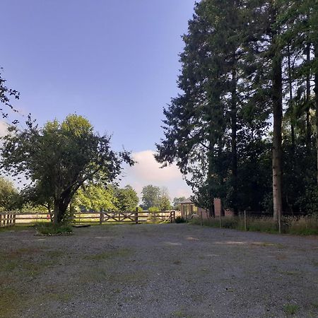 Les Gites Du Chateau De Maltot Saint-Ouen-du-Breuil 外观 照片